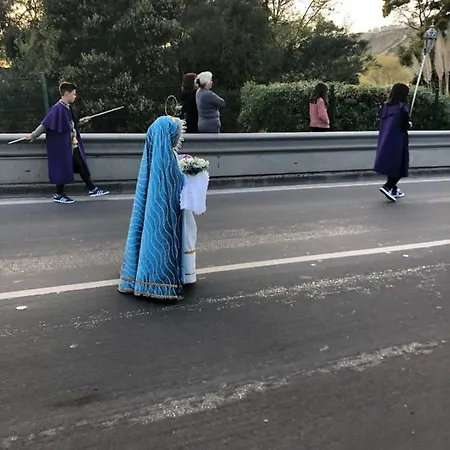 Atlantic Nest * Nazaré